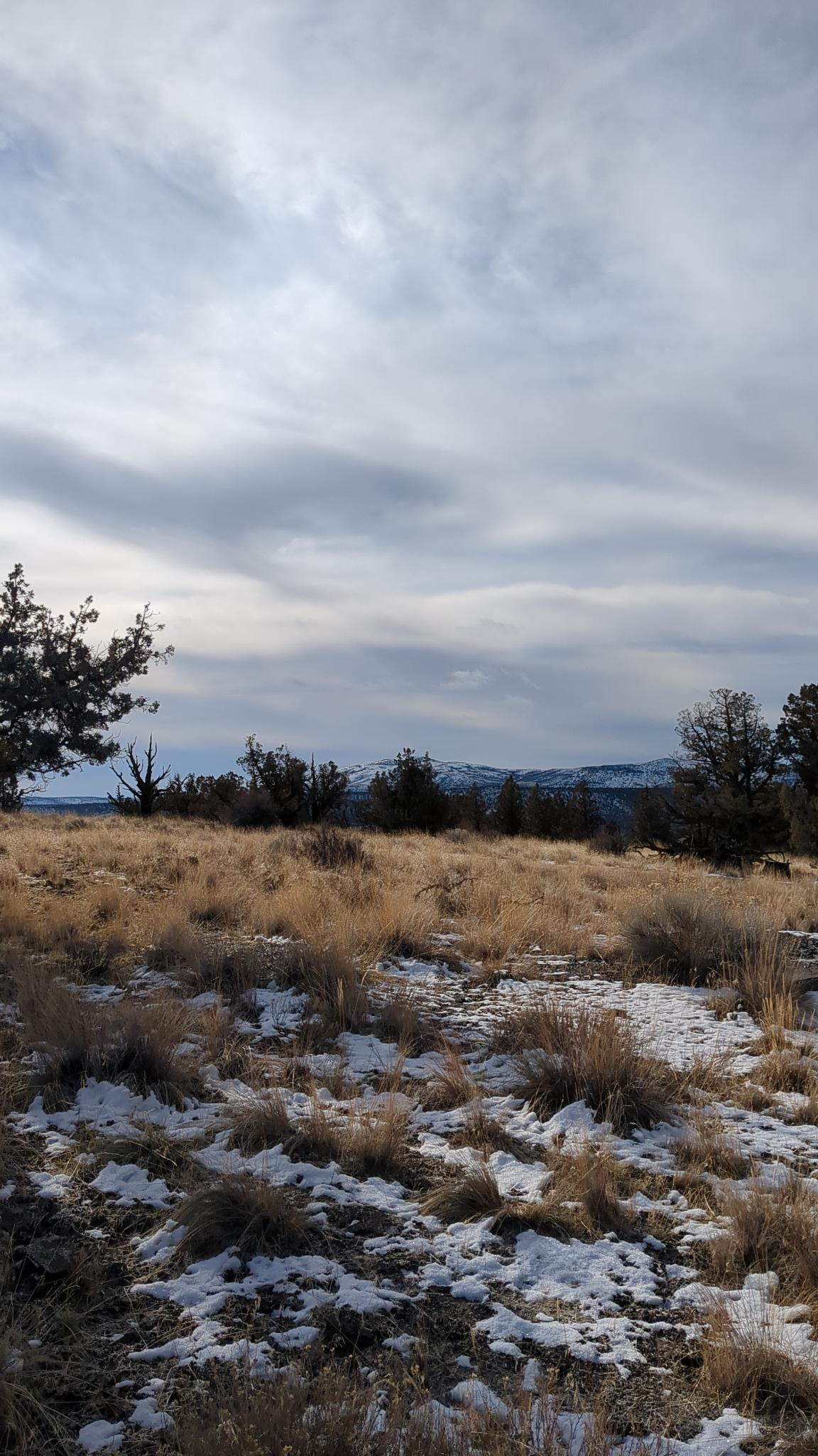 prineville